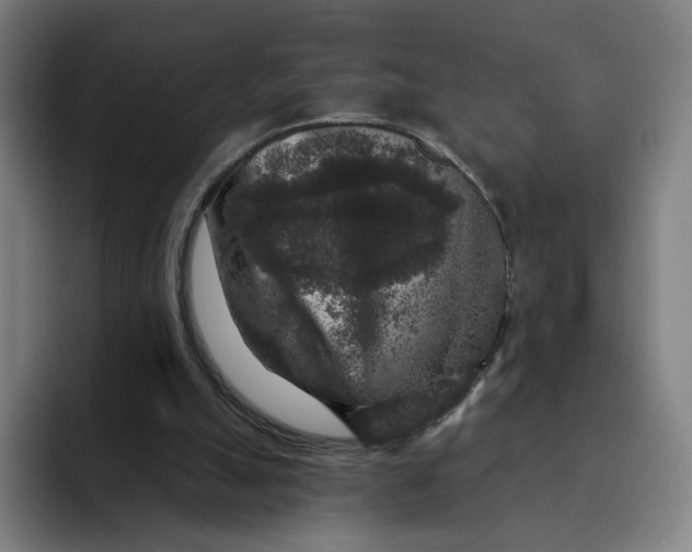 X0000091890055200709261647