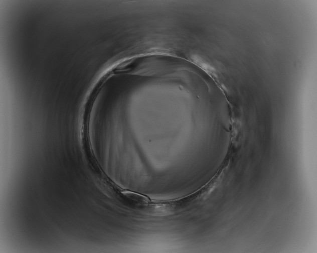 X0000091890056200709261647