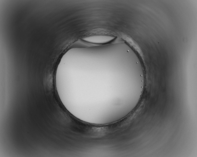 X0000091890057200709261647