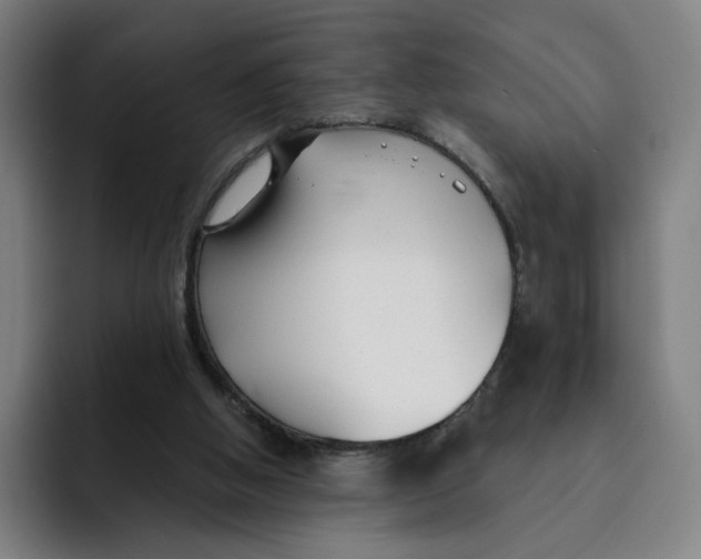 X0000091890058200709261647