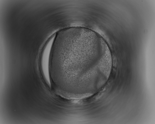 X0000091890060200709261647
