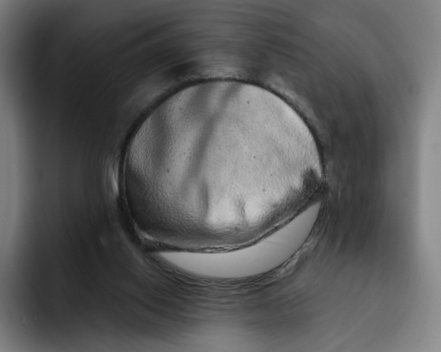X0000091890062200709261647