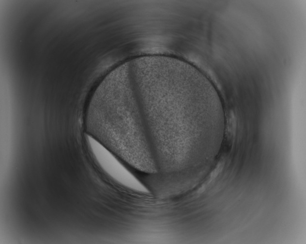 X0000091890063200709261647