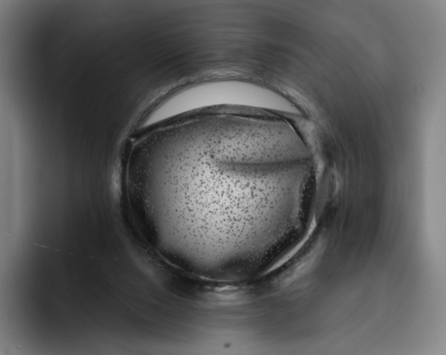 X0000091890064200709261647