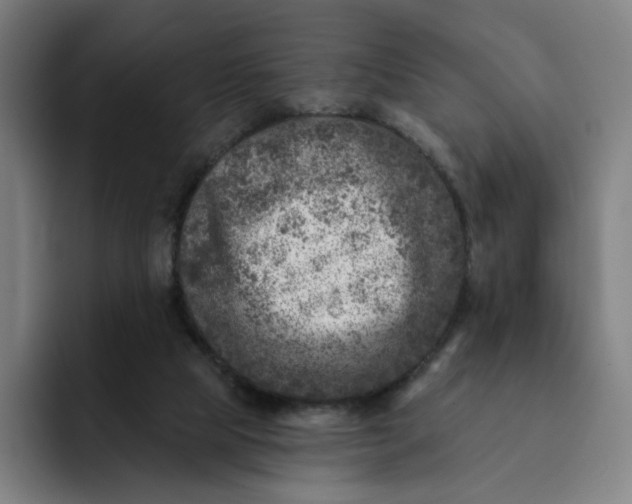X0000091890065200709261647