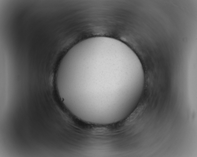 X0000091890066200709261647