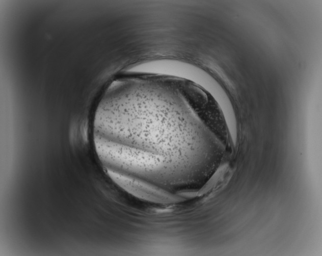 X0000091890068200709261647