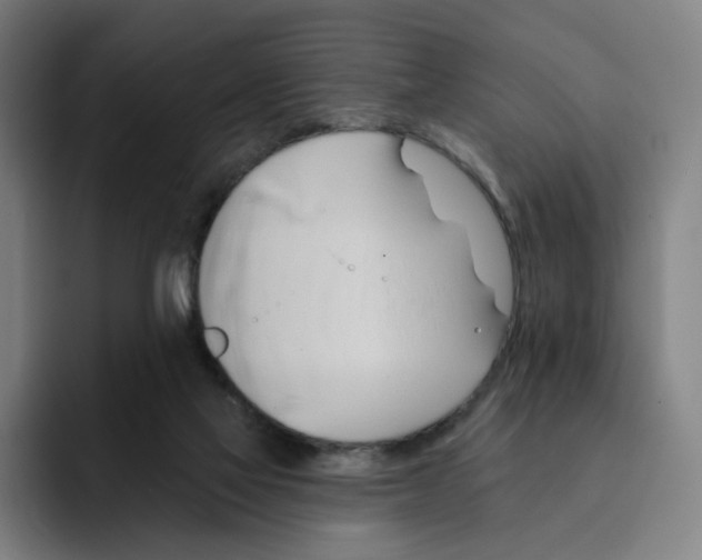 X0000091890069200709261647