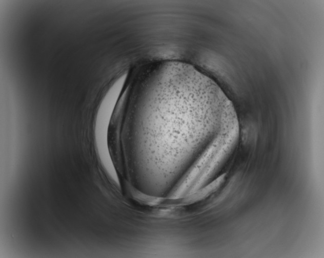X0000091890072200709261647