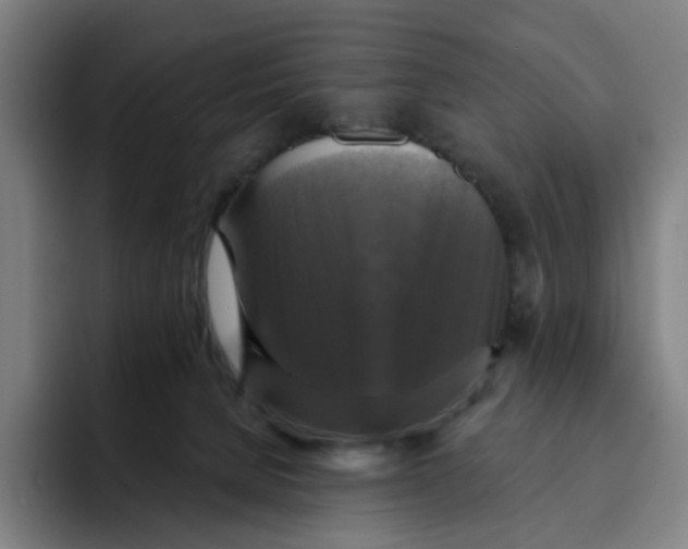 X0000091890080200709261647