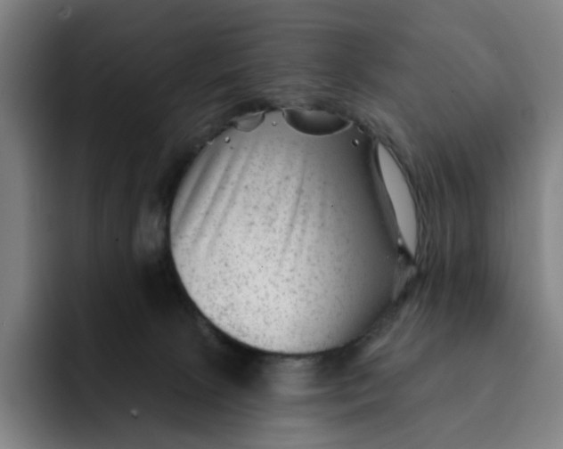 X0000091890081200709261647