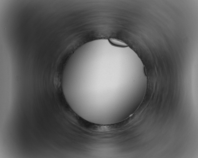 X0000091890091200709261647