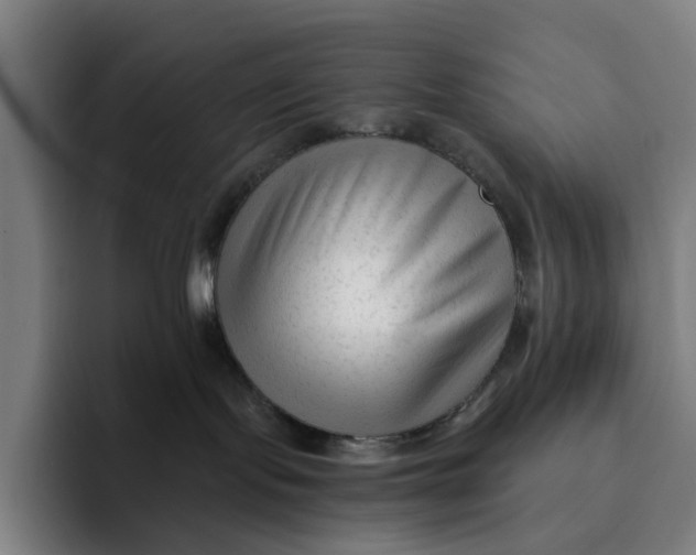X0000091890095200709261647