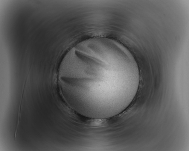 X0000091890096200709261647