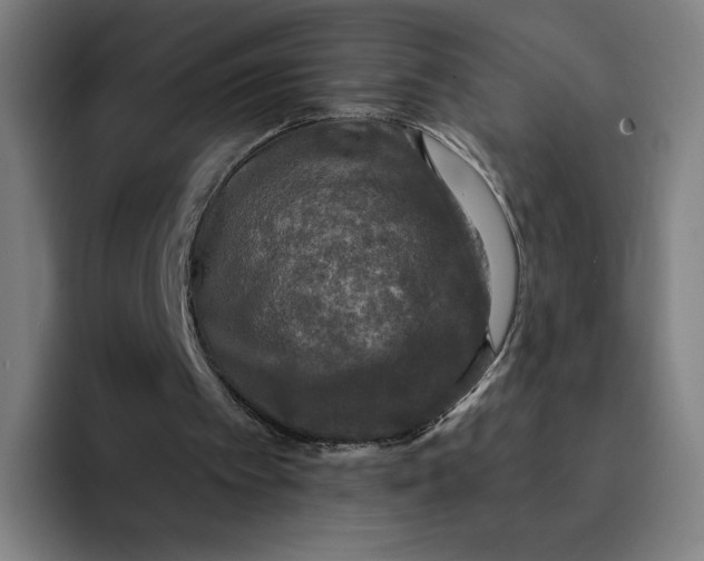 X0000091890097200709261647