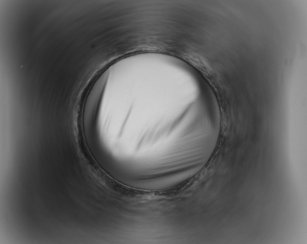 X0000091890098200709261647