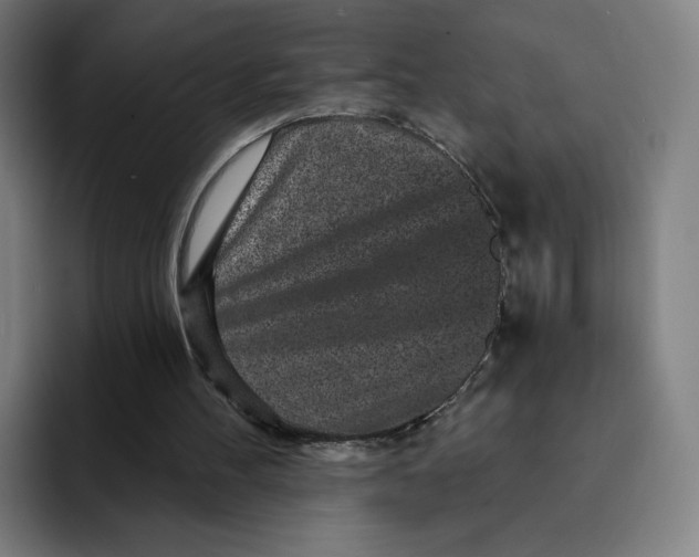 X0000091890100200709261647