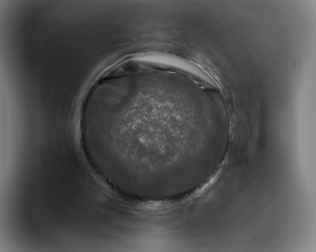 X0000091890101200709261647