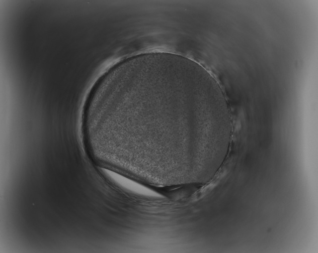X0000091890104200709261647
