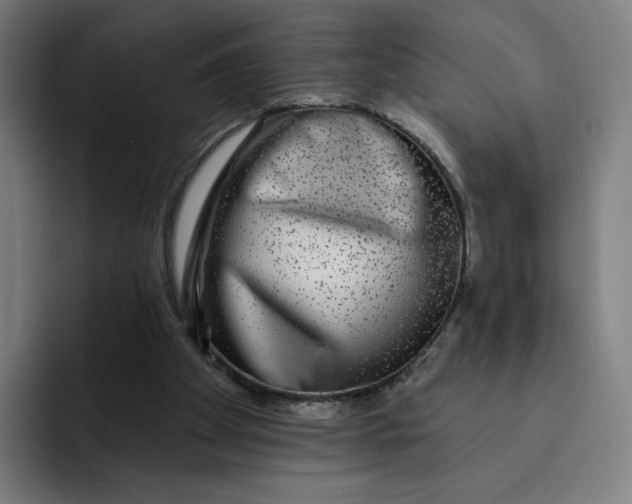 X0000091890105200709261647