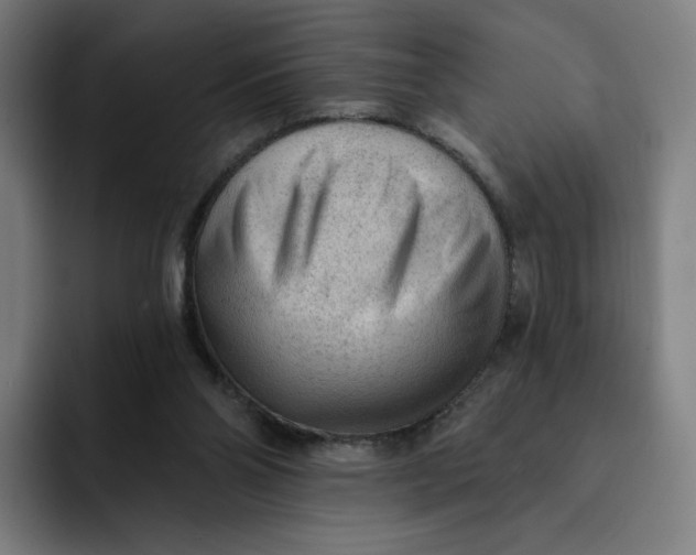 X0000091890110200709261647