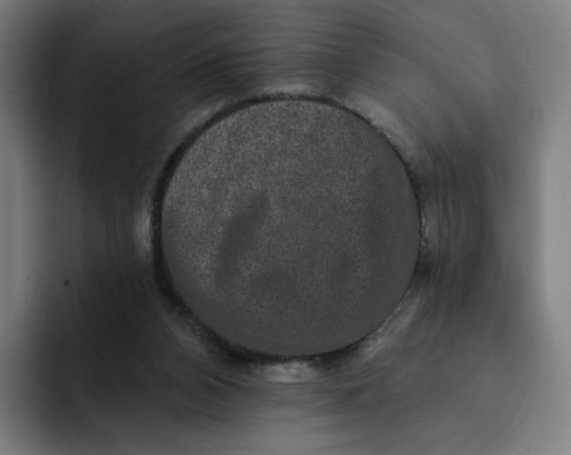 X0000091890112200709261647