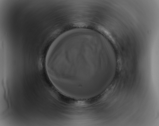 X0000091890114200709261647