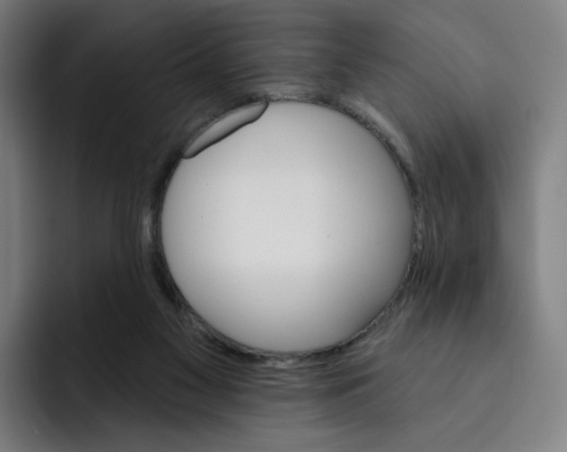 X0000091890117200709261647