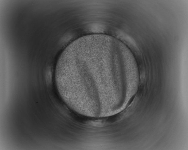 X0000091890120200709261647