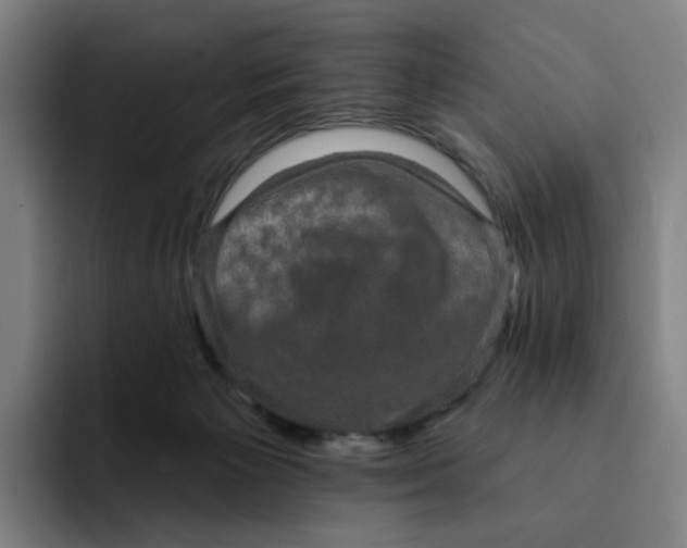 X0000091890125200709261646