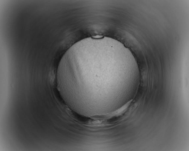X0000091890129200709261646