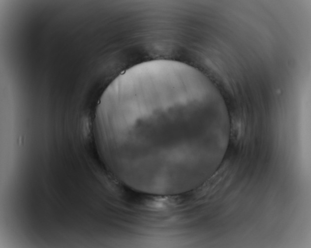 X0000091890130200709261646