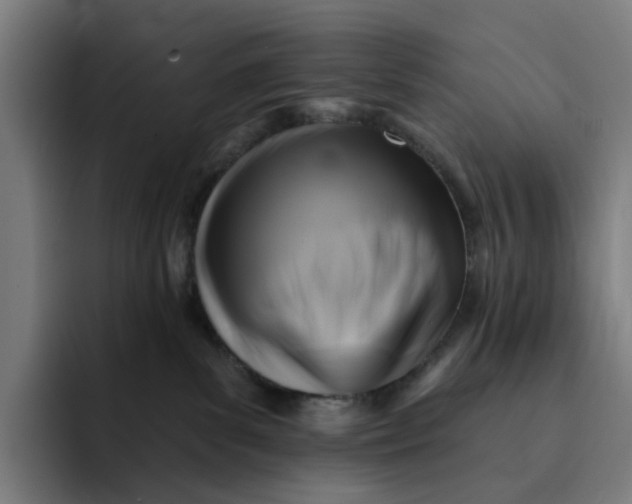 X0000091890139200709261646