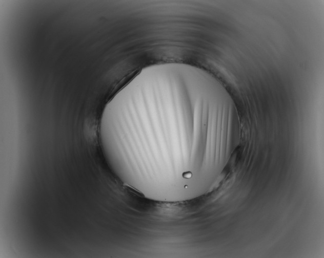 X0000091890141200709261646