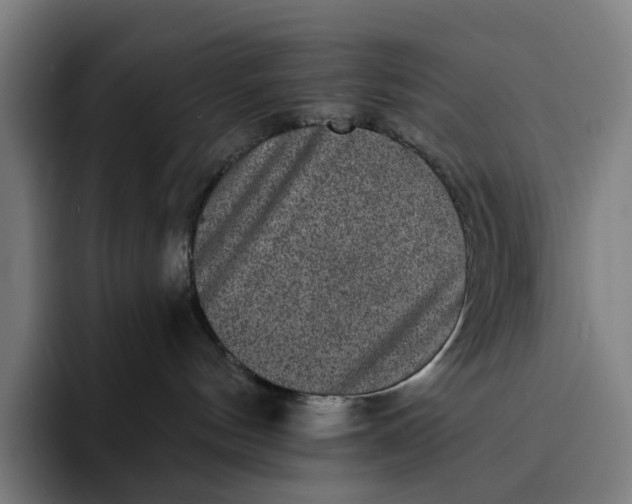 X0000091890144200709261646
