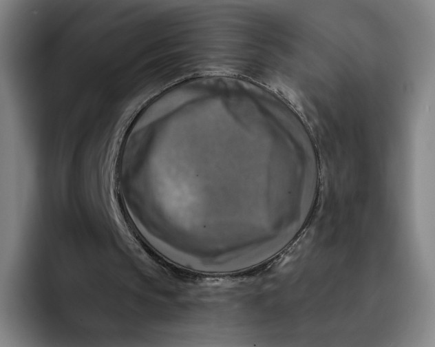 X0000091890145200709261646