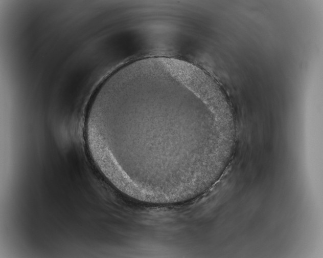 X0000091890146200709261646