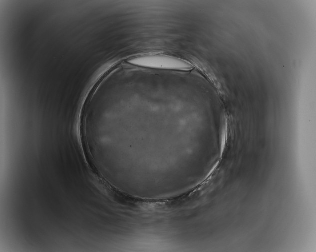 X0000091890147200709261646
