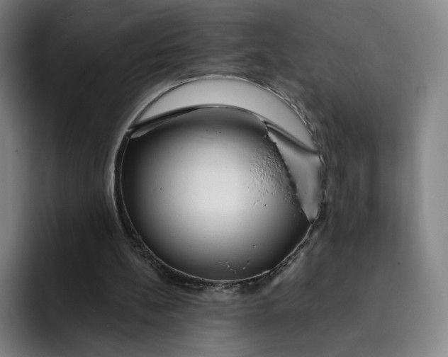 X0000091890148200709261646