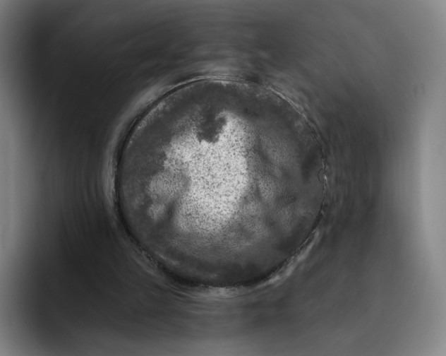 X0000091890149200709261646