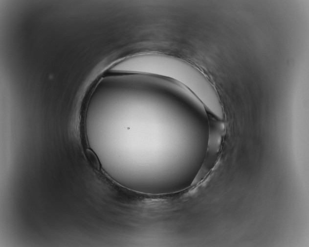 X0000091890150200709261646