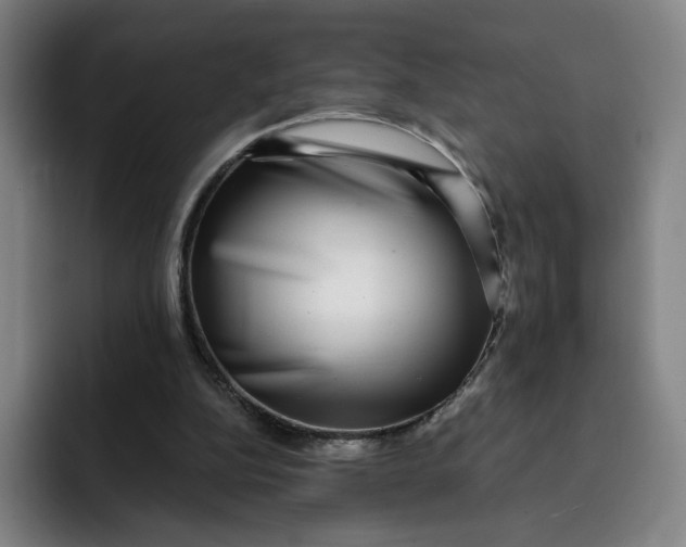 X0000091890152200709261646