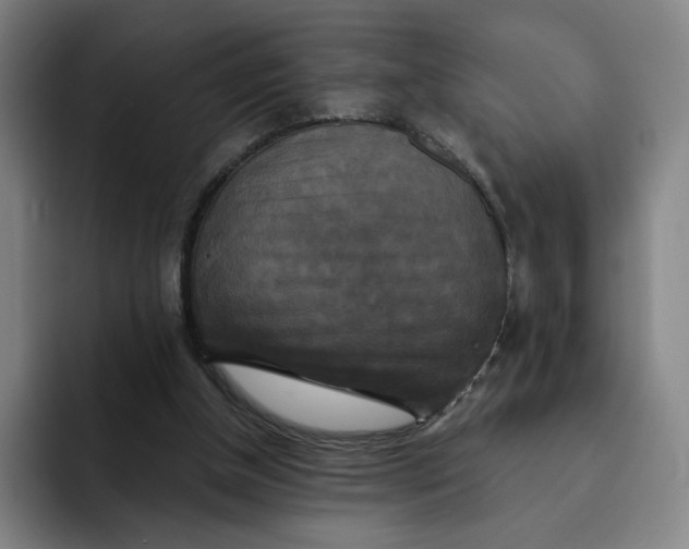 X0000091890154200709261646