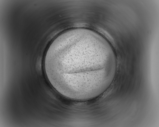 X0000091890155200709261646