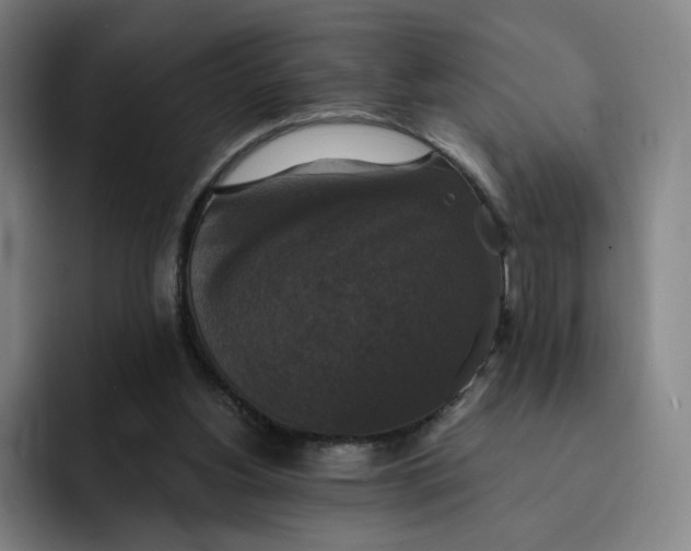 X0000091890156200709261646