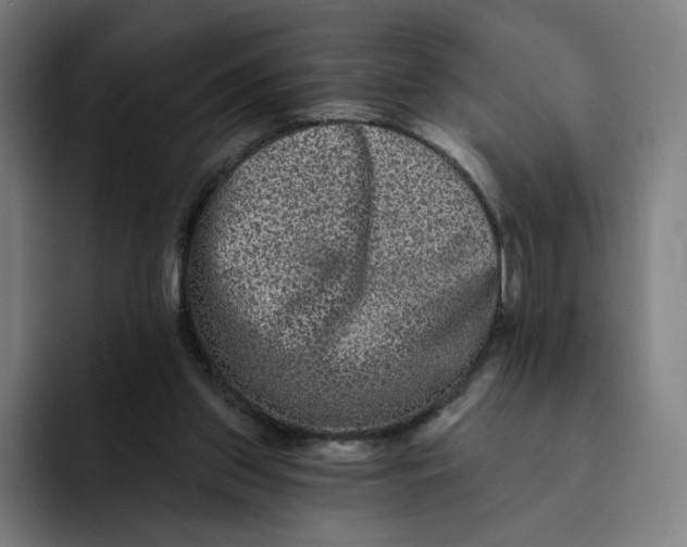 X0000091890157200709261646