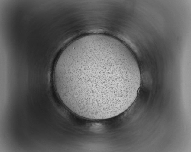 X0000091890159200709261646