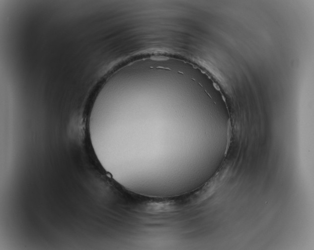 X0000091890160200709261646