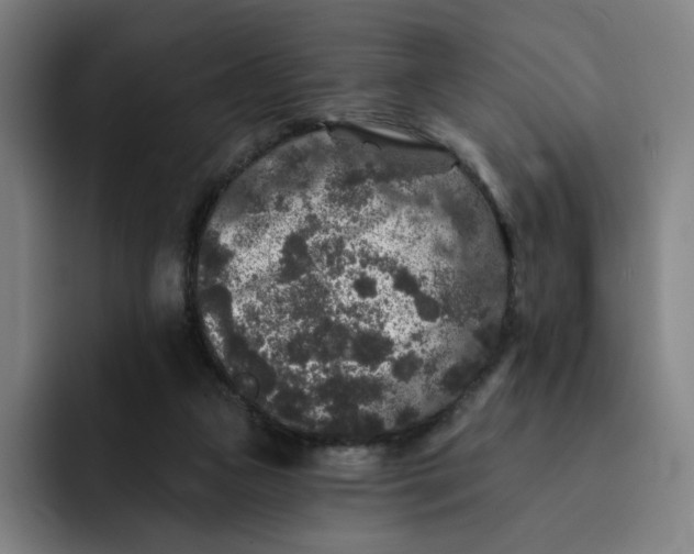 X0000091890161200709261646