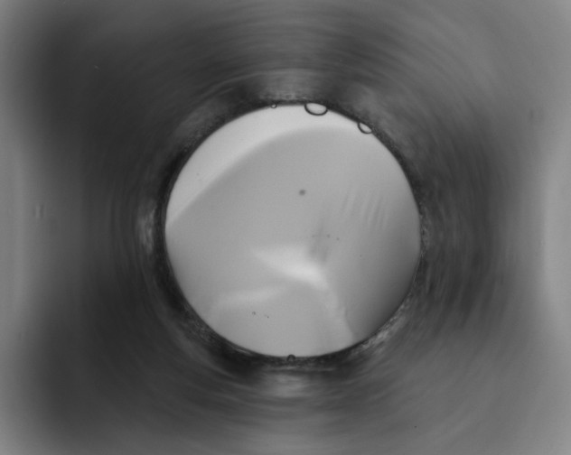 X0000091890163200709261646